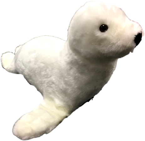 Imitation Christmas Baby Sea Lion - Christmas Day (550x532), Png Download