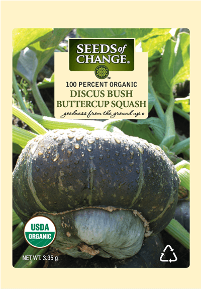 Organic Discus Bush Buttercup Winter Squash Seeds - Seeds Of Change (573x573), Png Download