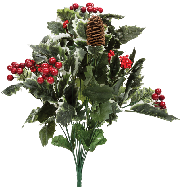 20" X 14" Holly - Shrub (650x650), Png Download