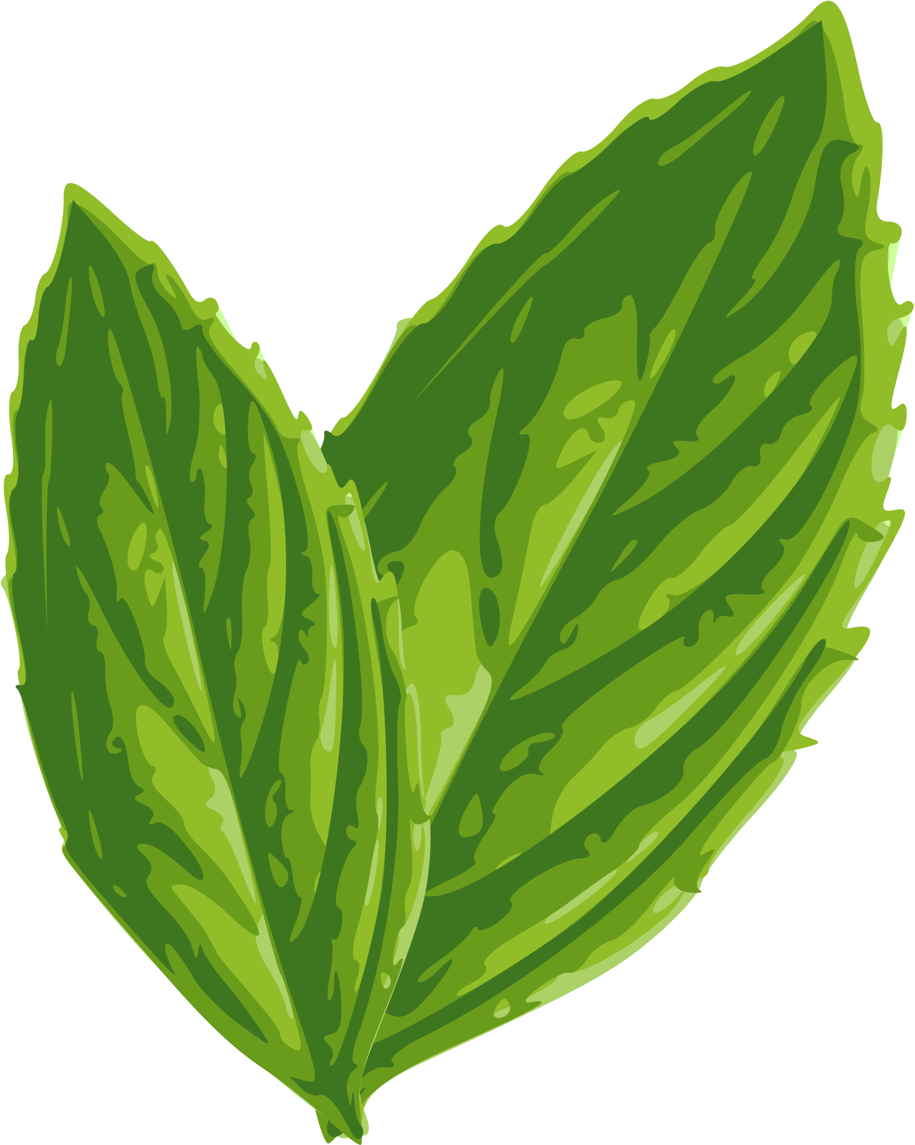 Foliage Clipart Mint - Mint Leaf Clip Art (1941x2400), Png Download