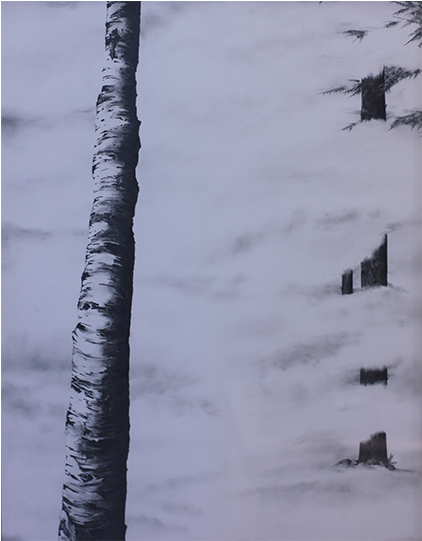 Birch Tree In The Forest - Art (785x540), Png Download