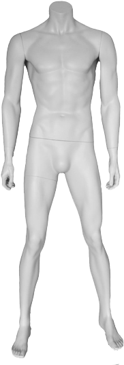 Male (490x550), Png Download