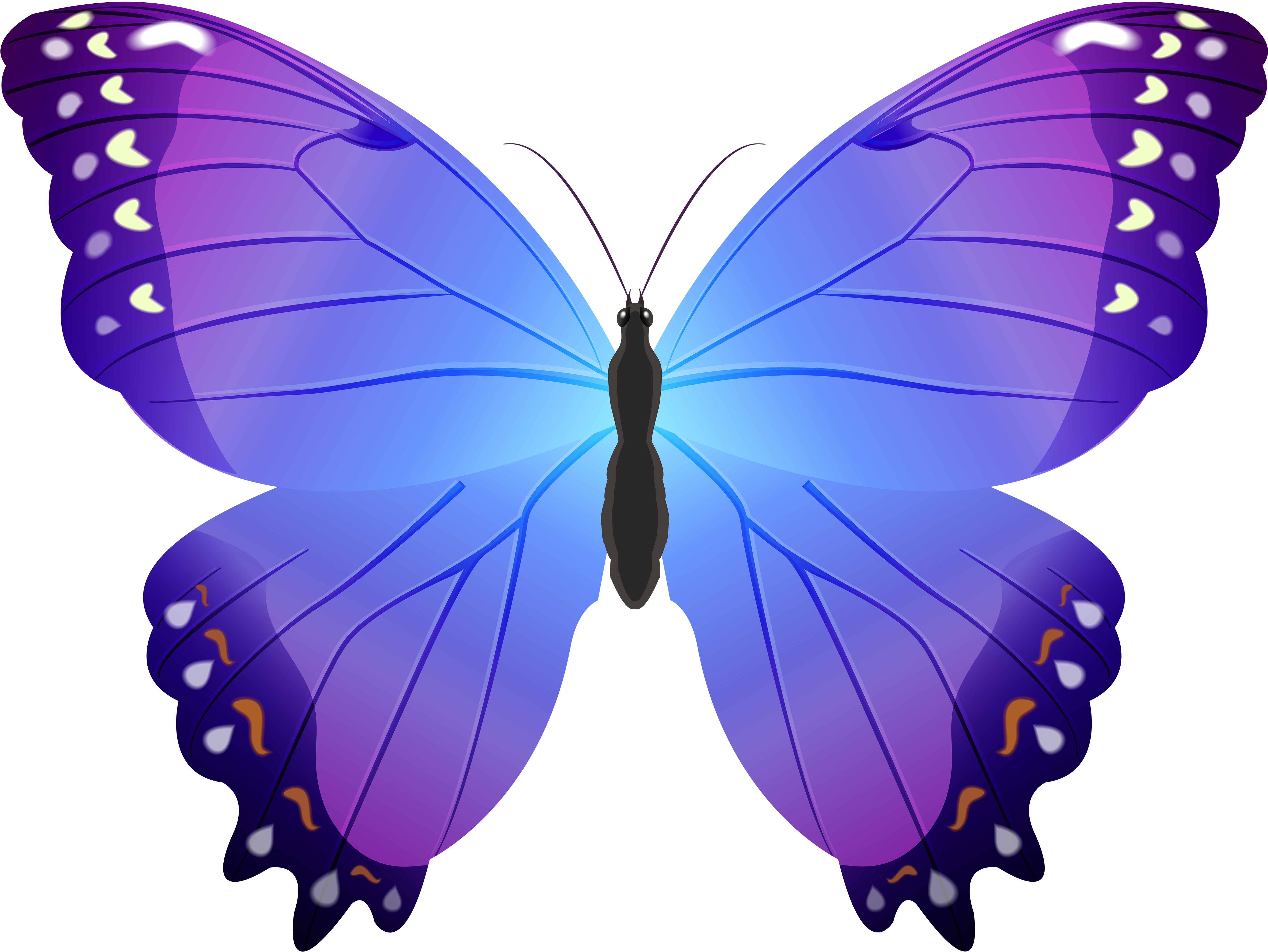 Download HD Butterfly Purple Transparent Png Clip Art - Blue And Purple  Butterfly Clip Art Transparent PNG Image - NicePNG.com, image size:4921x3696
