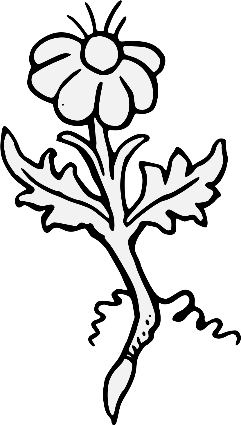 Details, Png (881x1462), Png Download