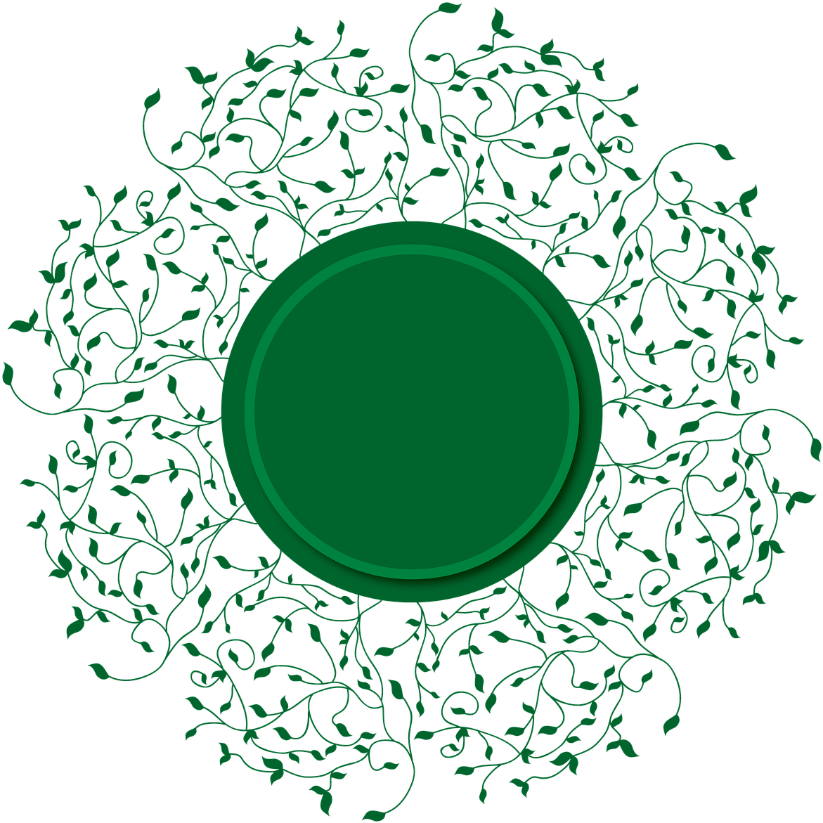 Flower - Vine Decorative Borders (1280x1280), Png Download