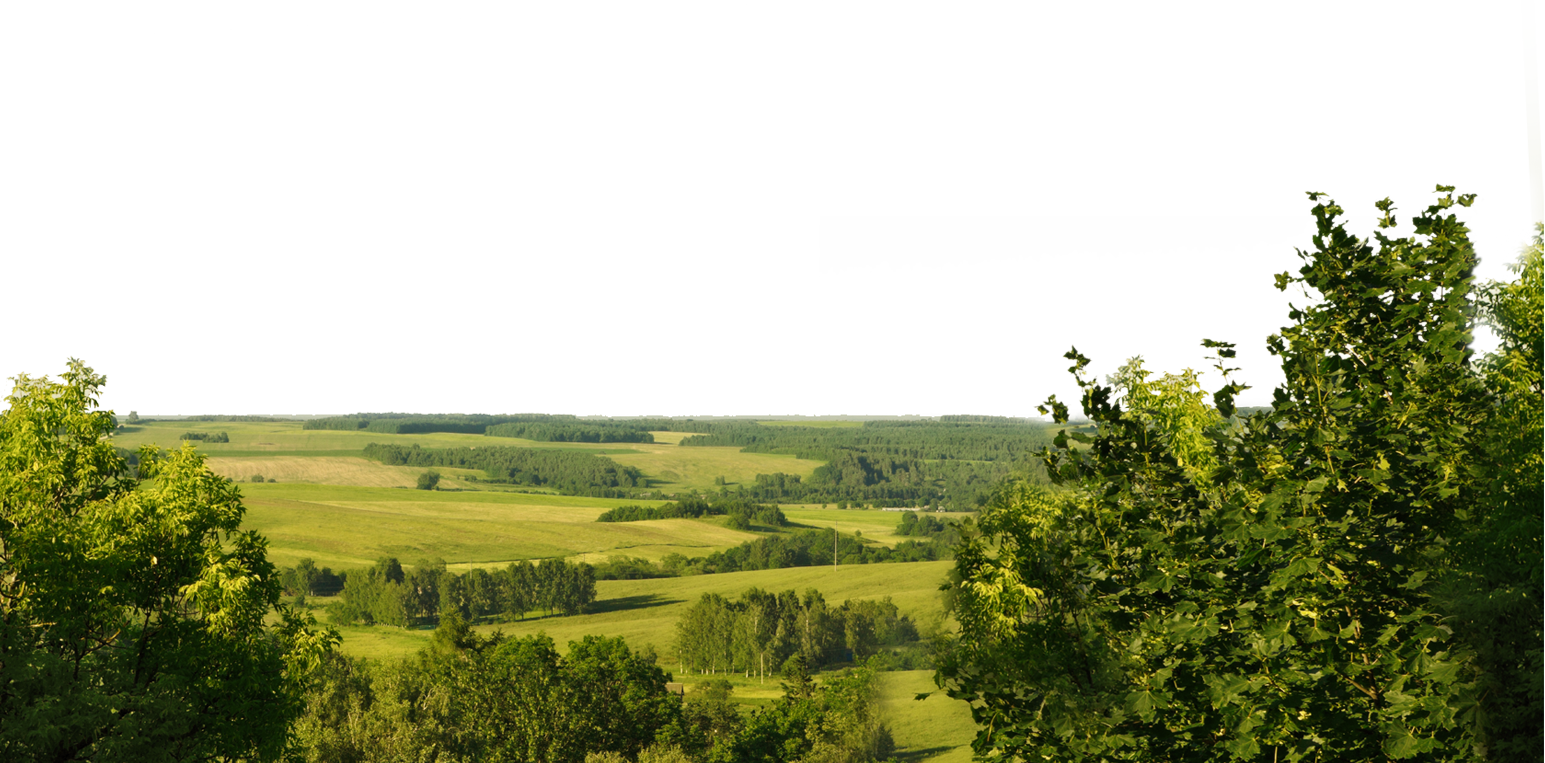 Wild Png (1545x763), Png Download