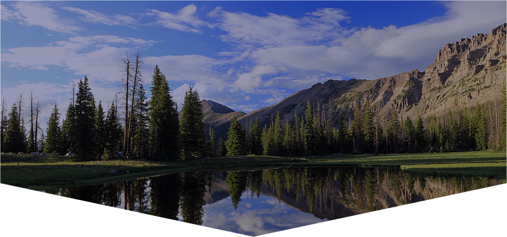 Reflection (1024x479), Png Download