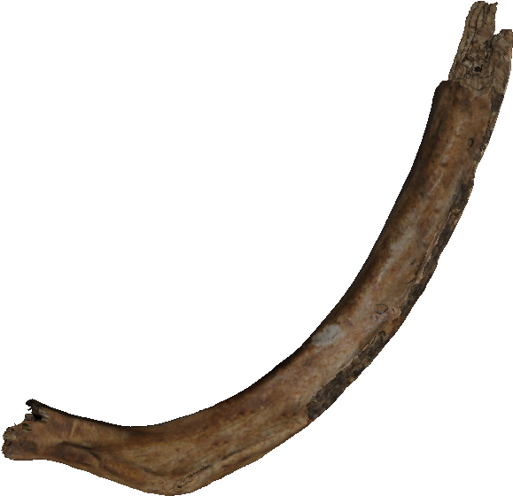 1920 X 927 5 - Real Bones Png (1920x927), Png Download