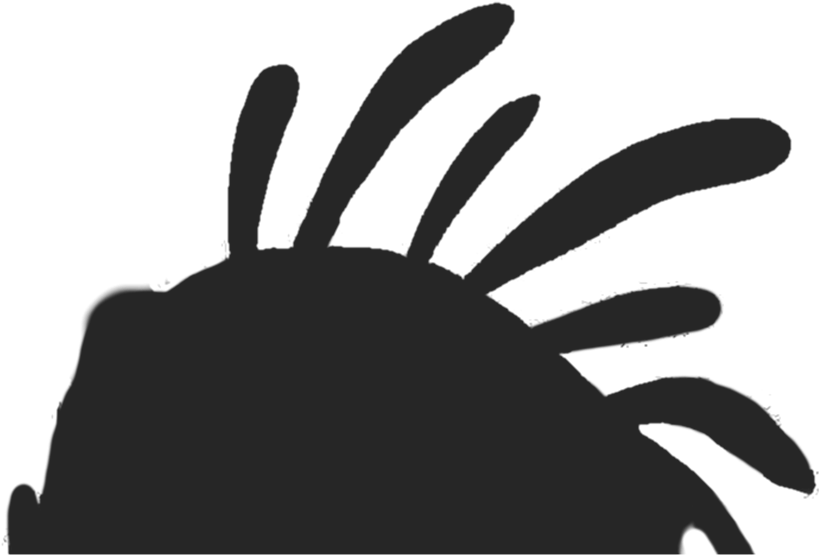 Features - Illustration (1000x1100), Png Download