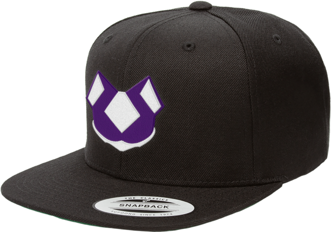 Twitch Kittens Snapback - Unc National Championship Hats (650x650), Png Download