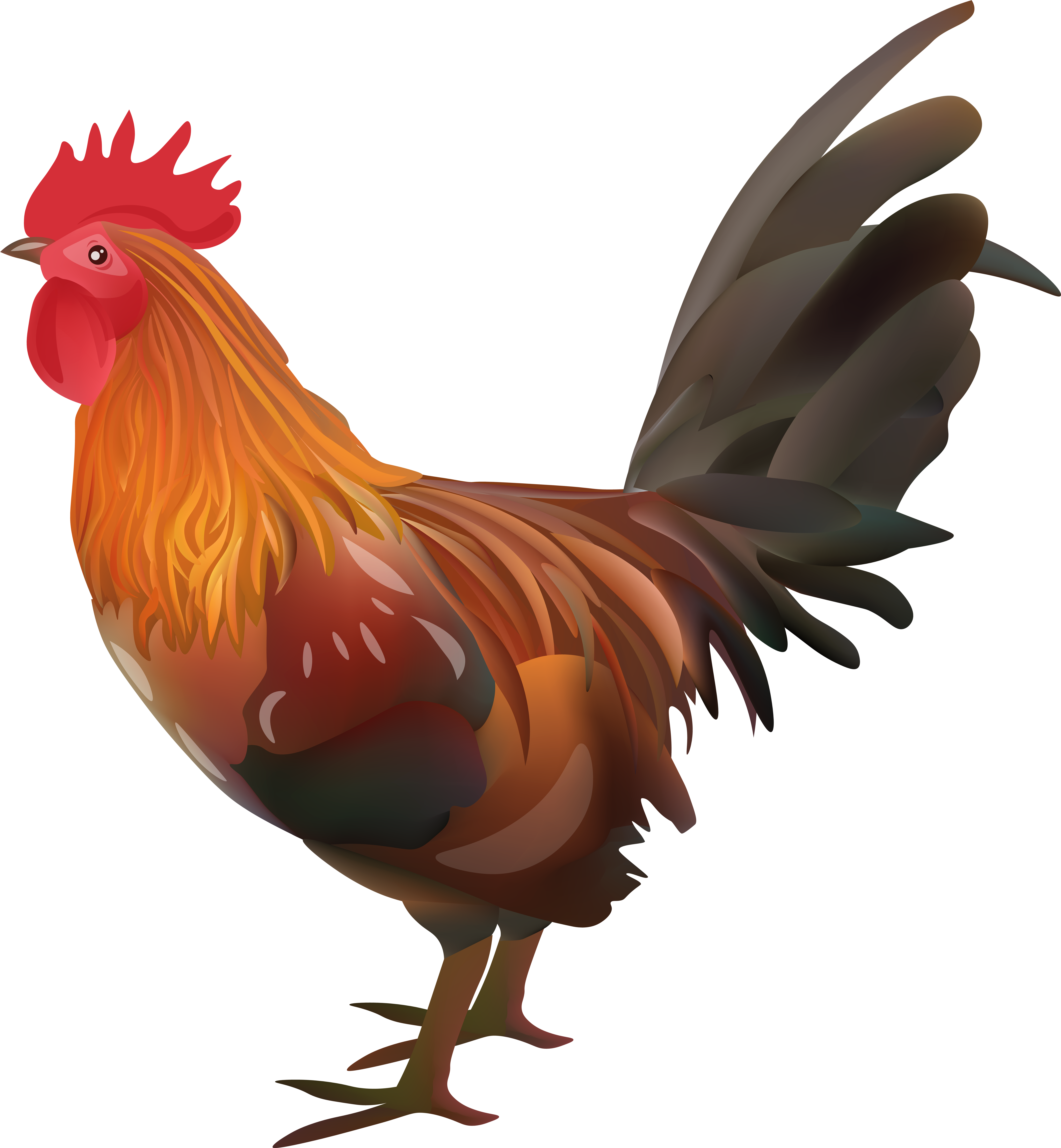 Rooster Chicken Transparent Image (7406x8000), Png Download