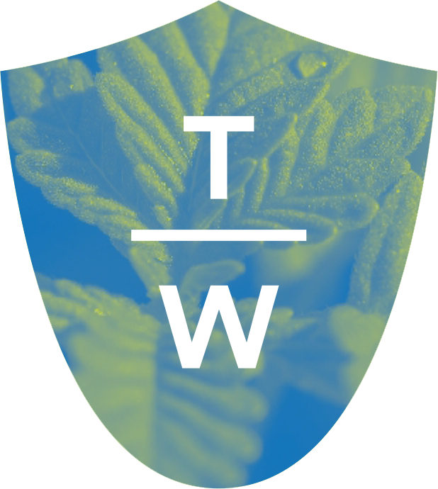 Utf 8''theory Wellness 7 23 Medical Marijuana & Cannabis - Emblem (618x690), Png Download