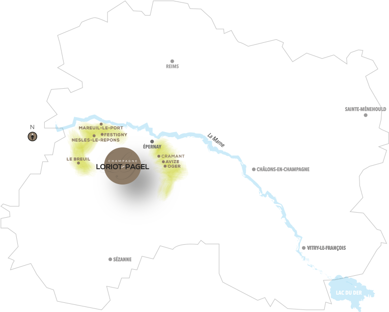 Loriot Pagel Champagnes Are Rooted In 9 Hectares Of - France (800x650), Png Download