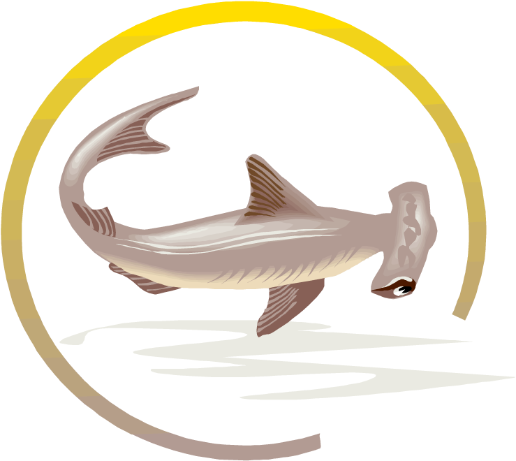 Hammerhead Shark Clipart Dead Shark - Shark (750x662), Png Download