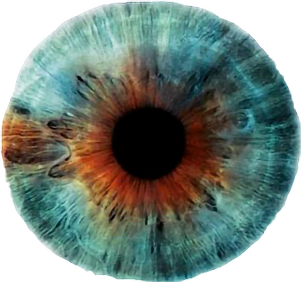 Blue Sticker (1024x961), Png Download