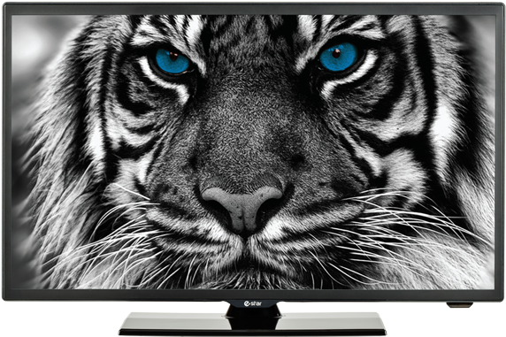 Estar Led Tv - Tv E Star (772x680), Png Download