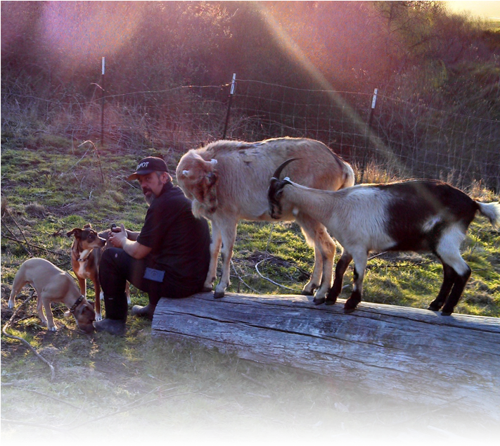About Animal Farming - Family Farm Of Animals (710x645), Png Download