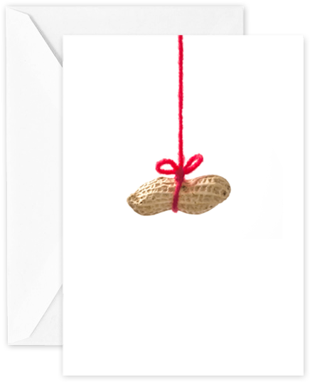 Peanut - Greeting Card (590x590), Png Download