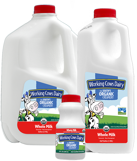1/2 Gallon Organic Whole Milk - Skimmed Milk (600x625), Png Download