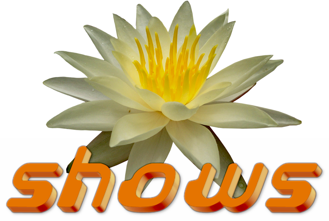 You've Just Joining The Mailing List Ttyl - Sacred Lotus (1140x893), Png Download