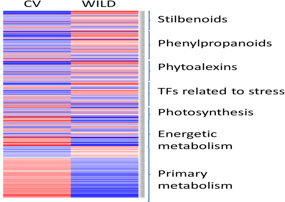 Heat Map Showing The Differentially Expressed Genes - Number (1036x662), Png Download