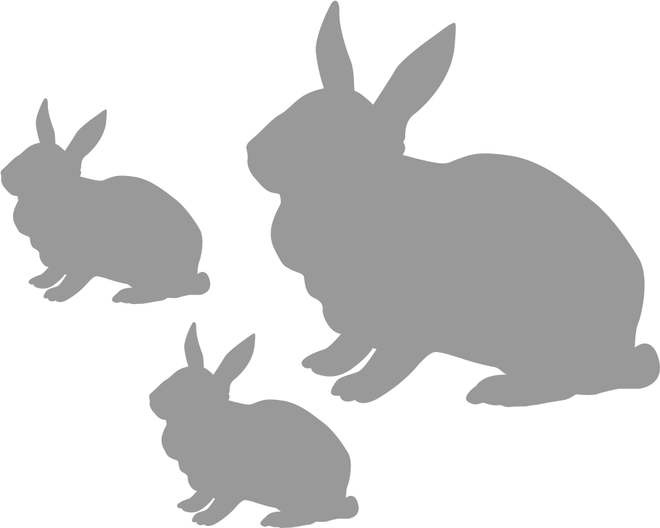 Rabbit - Domestic Rabbit (1008x798), Png Download