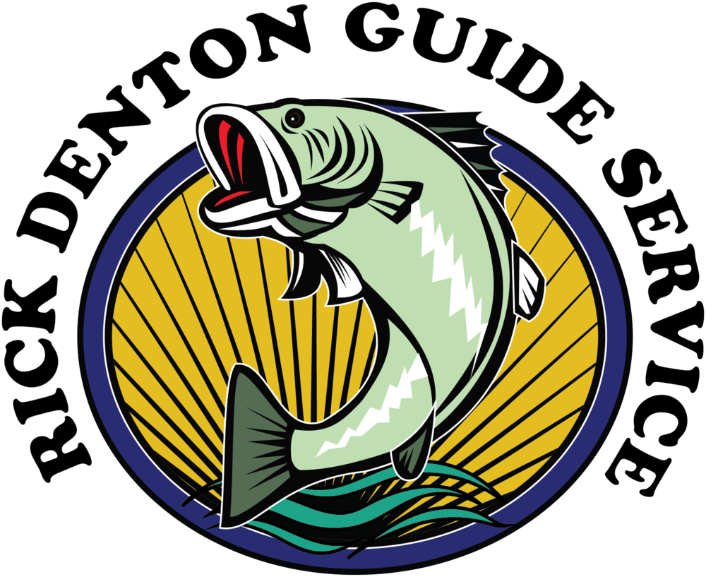 Fish Outline Png (1000x817), Png Download