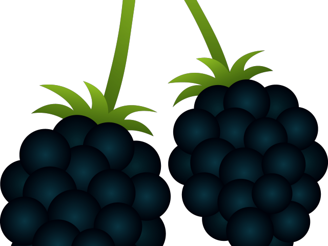 Blackberry Clipart Berry Plant - Blackberry Clipart Png (640x480), Png Download