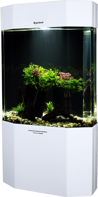 Eyckee Love Octagonal Ecological - Aquarium (800x800), Png Download