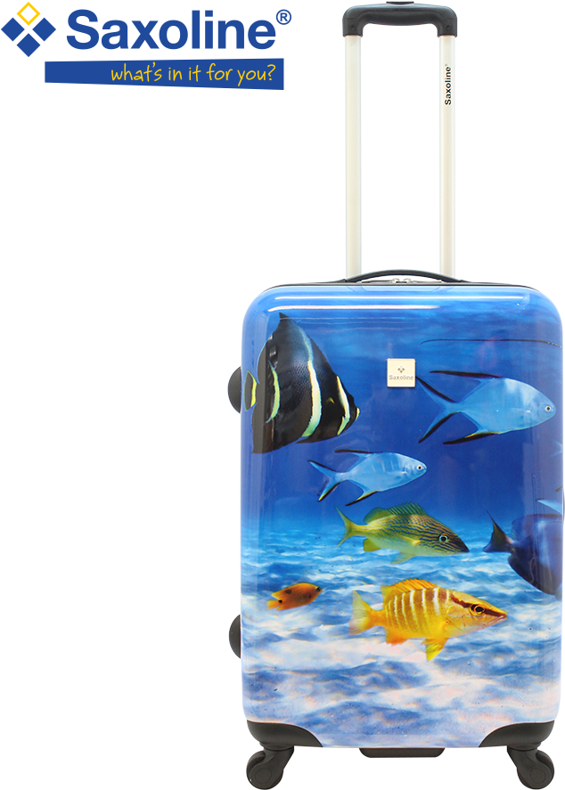Suitcase (1000x1000), Png Download
