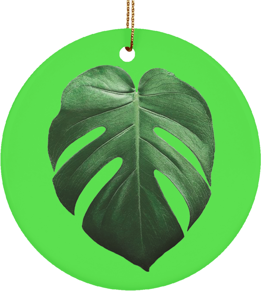 Monstera Deliciosa Ceramic Tropical Leaf Ornament - Swiss Cheese Plant (1024x1024), Png Download