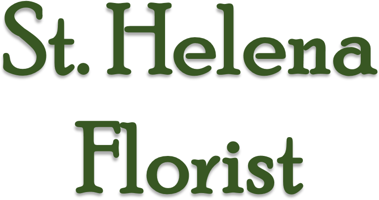 Helena Florist - Little Diva (1021x681), Png Download