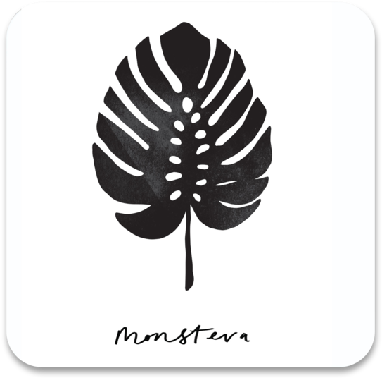 Monstera Leaf Coaster - Christmas Tree (700x700), Png Download