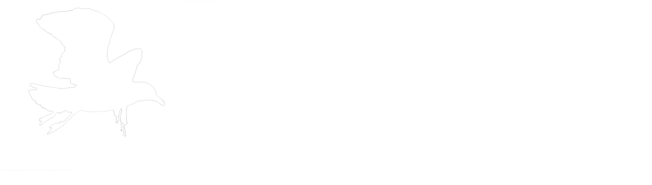 The Jb Photos Nature Photography - White Pixel (1024x663), Png Download