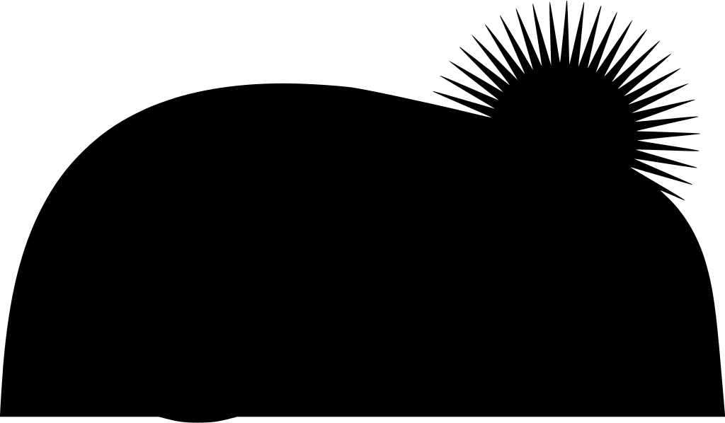 Download Png - Silhouette (1024x598), Png Download