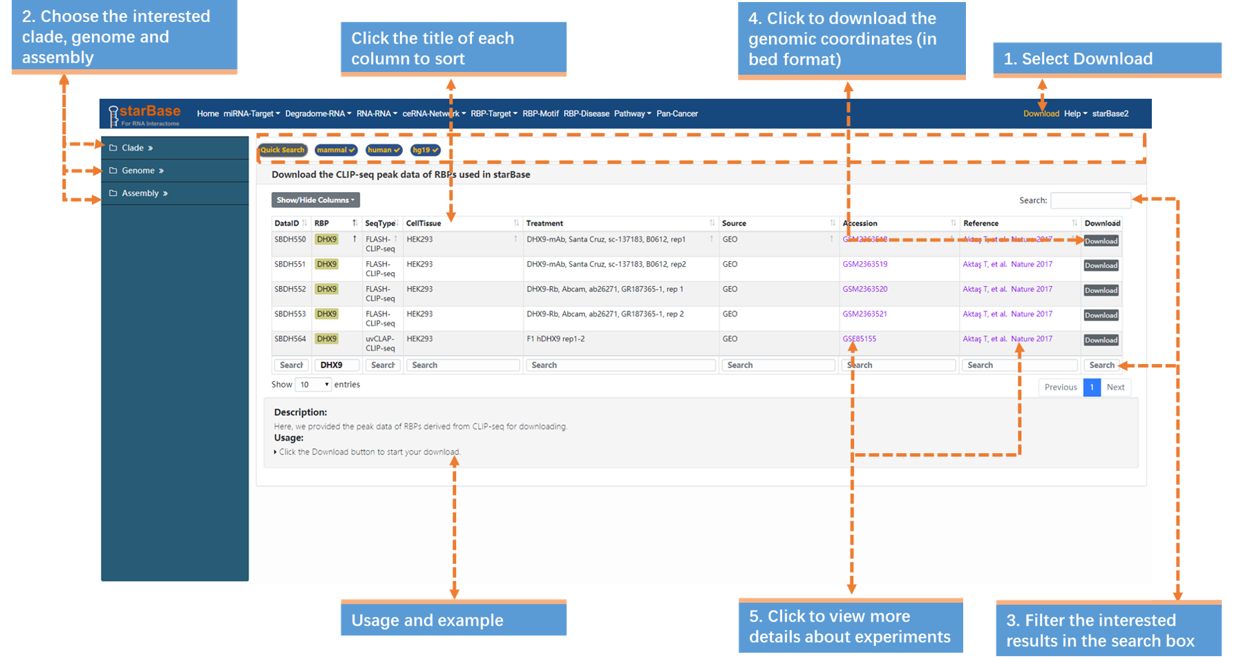 Download10 (1812x957), Png Download