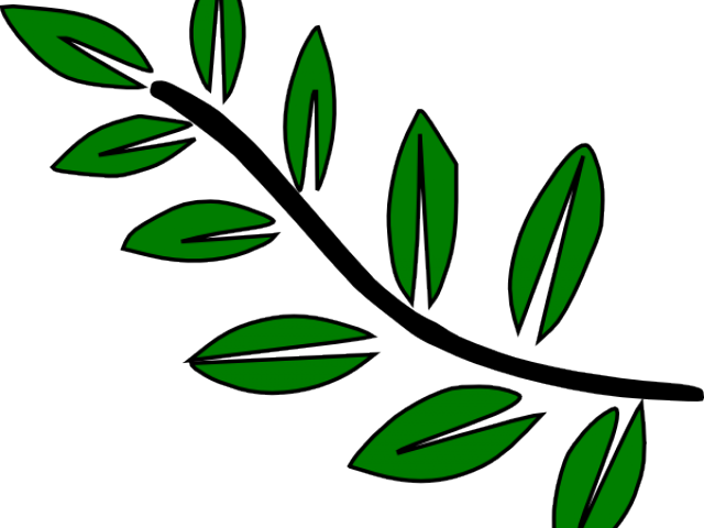 Leaves Clipart Cartoon - Leaf Branch Clip Art (640x480), Png Download