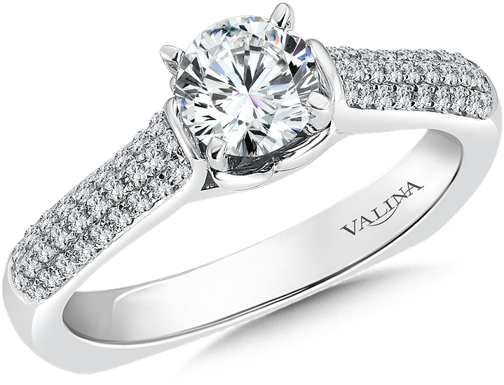 Valina Mounting With Side Stones - Engagement Ring (800x800), Png Download