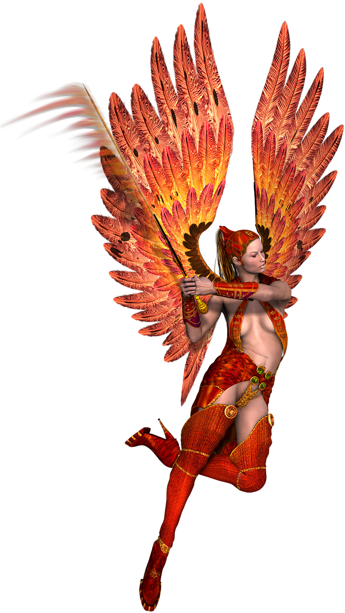 Floral Design (778x1280), Png Download