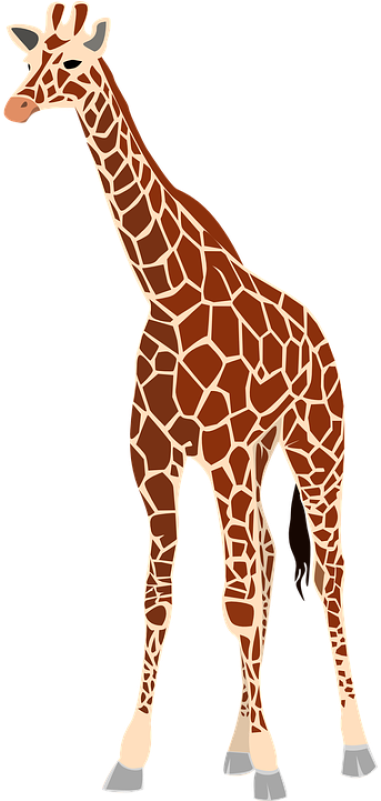 Giraffe, Mammal, Animal, Herb - Giraffe In Arabic Word (400x800), Png Download