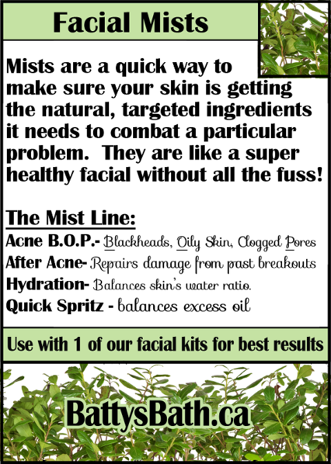 2014 Mists Line Up - Career Expo (480x672), Png Download