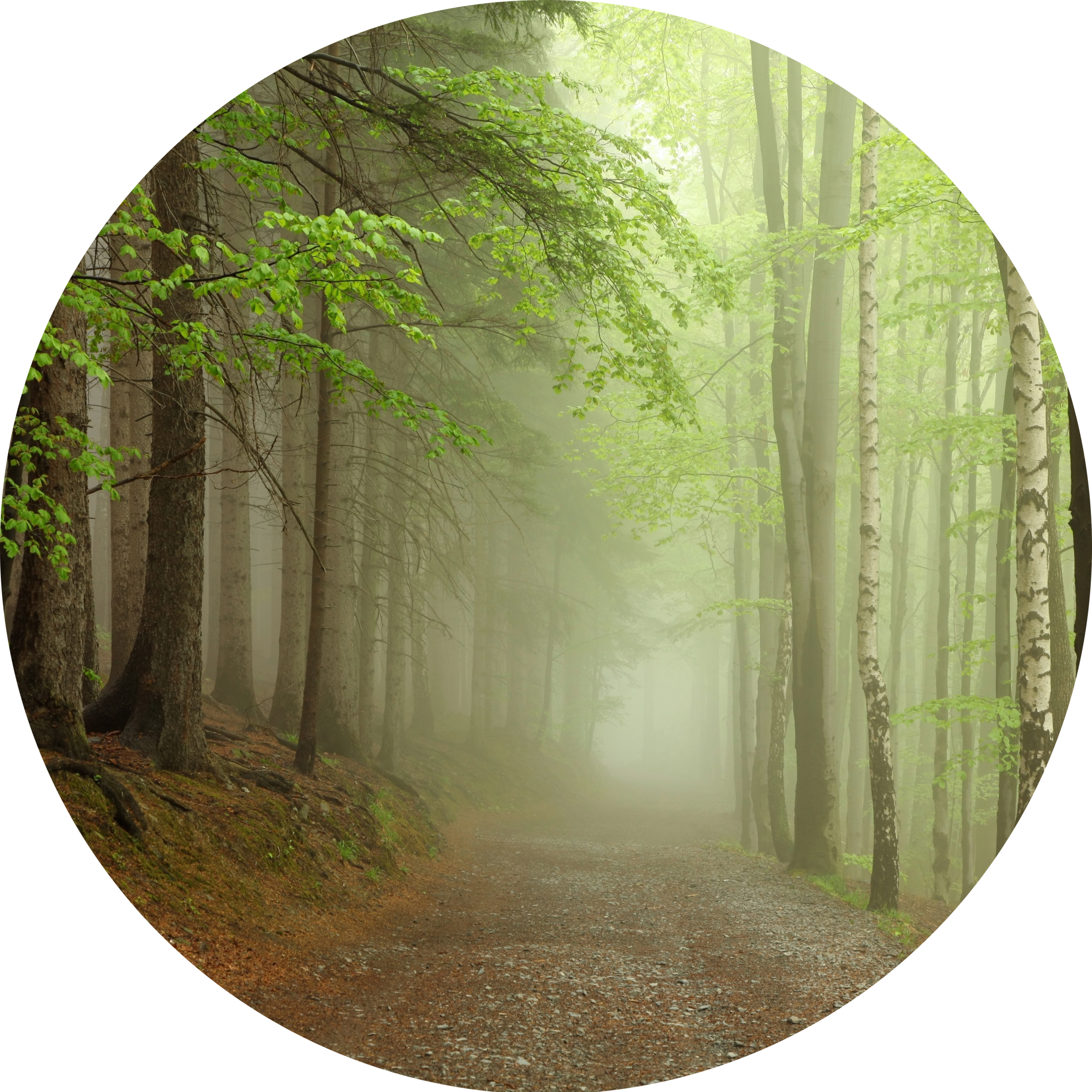 A Pathfinder Retreat Coming Fall (2500x2500), Png Download