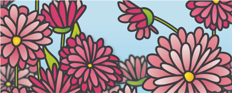 Zinnia (800x800), Png Download