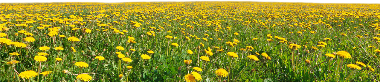 The Story Of Ed Devitt Ii - 命運 德 決定 命運 善 改變 人生 (1270x714), Png Download