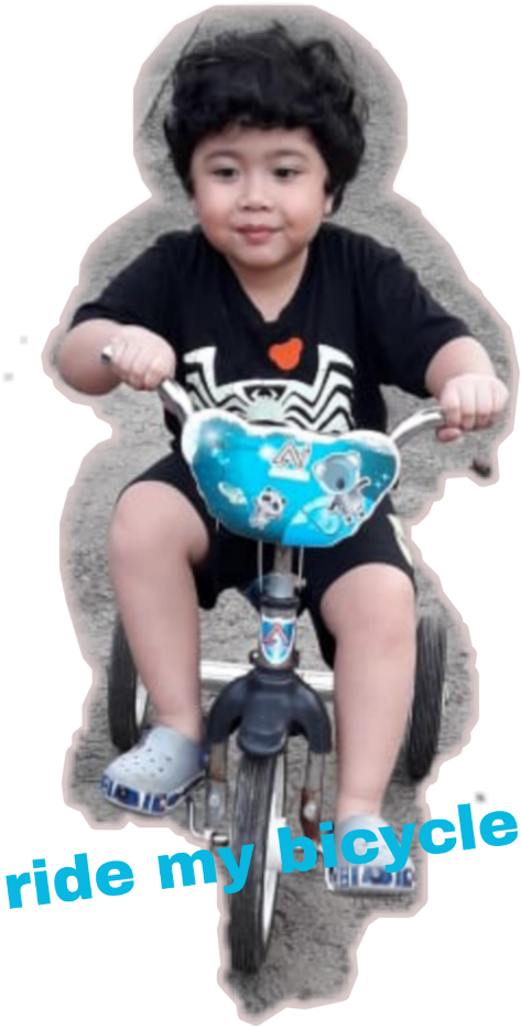 Tricycle (480x941), Png Download