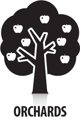 Orchards - Illustration (585x585), Png Download
