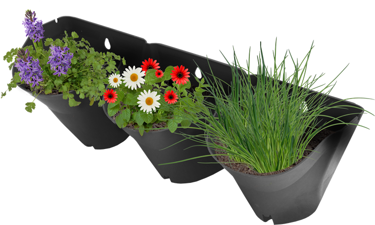 800 X 800 3 - Vertical Garden Bunnings (800x800), Png Download