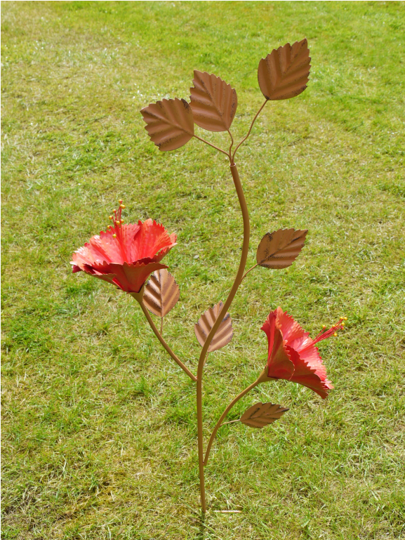 Four O'clock Family (1152x768), Png Download