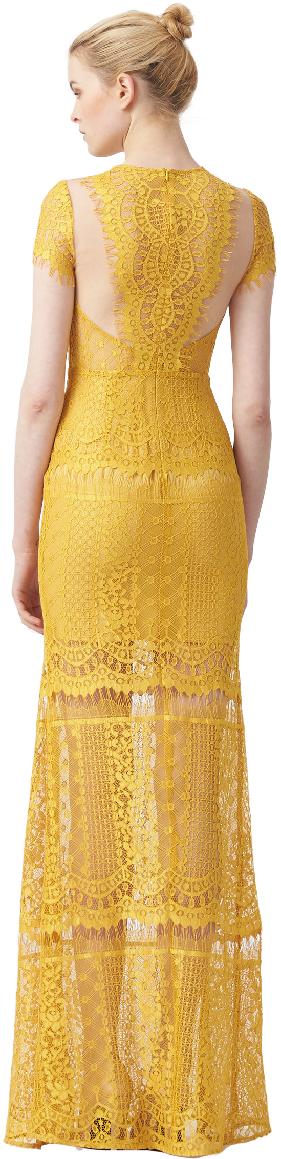 Melanie Cap Sleeve Lace - Gown (1080x2500), Png Download