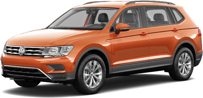 2019 Tiguan - 2019 Santa Fe Rainforest (1000x350), Png Download